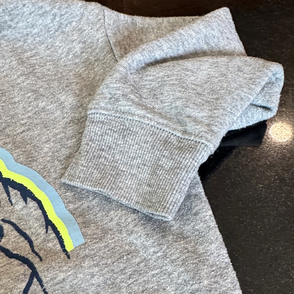 Gray Dinosaur fleece Hoodie for Kids - Picture 4 of 8